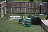 daycare pic 93 - ball time